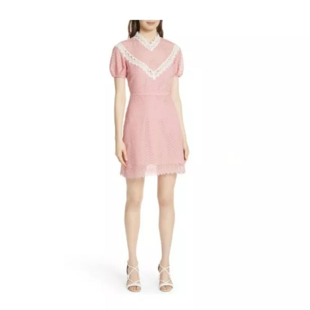 Petite Rose Dreamy Lace Dress with White Accents